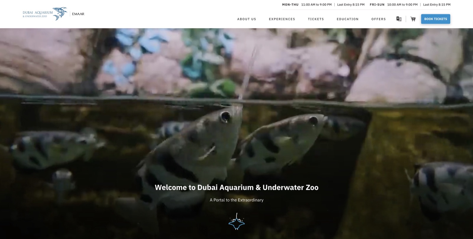 thedubaiaquarium.com home page